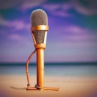 Microphone visual #4885