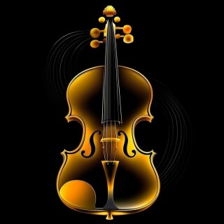Violin visual #7229