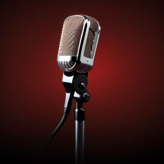Microphone visual #8464