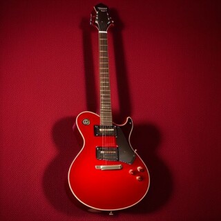 Guitar visual #8402