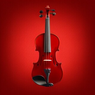 Violin visual #8374