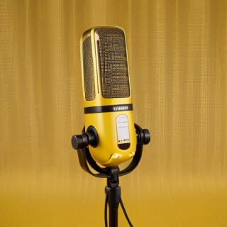 Microphone visual #8460