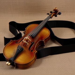 Violin visual #8370