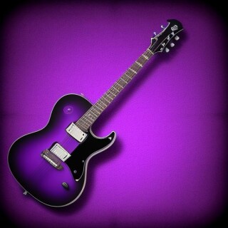 Guitar visual #8394