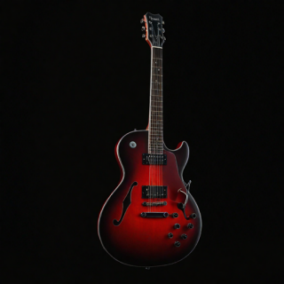 Guitar visual #8647