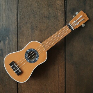 Guitar visual #8793