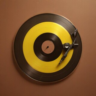 Vinyl record visual #8732