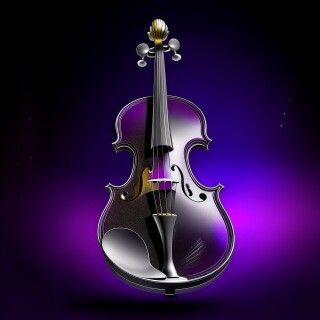 Violin visual #8995