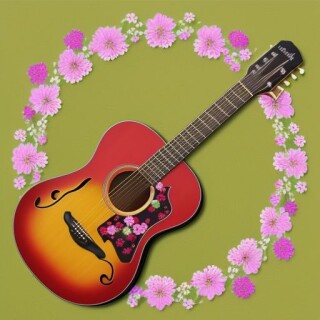 Guitar visual #9893