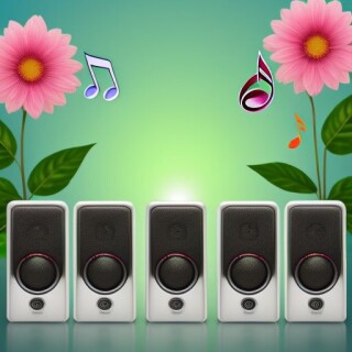Speakers visual #9833