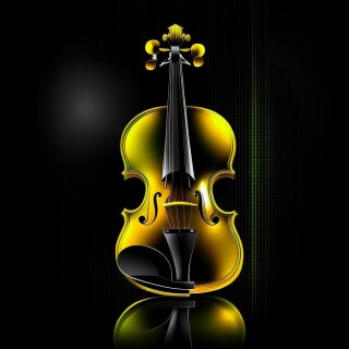 Violin visual #9866