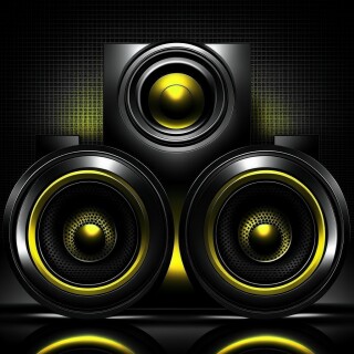 Speakers visual #9825