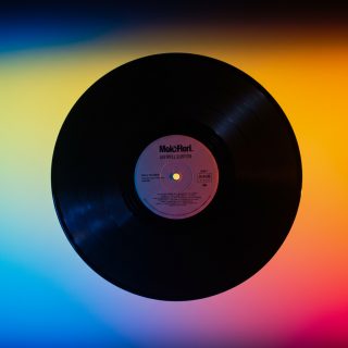 Vinyl record visual #11504