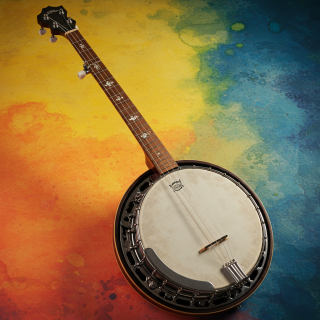 Banjo visual #11653
