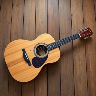 Guitar visual #11676